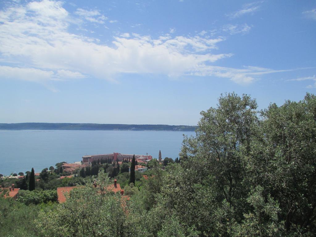 Apartment Rubin Piran Eksteriør bilde