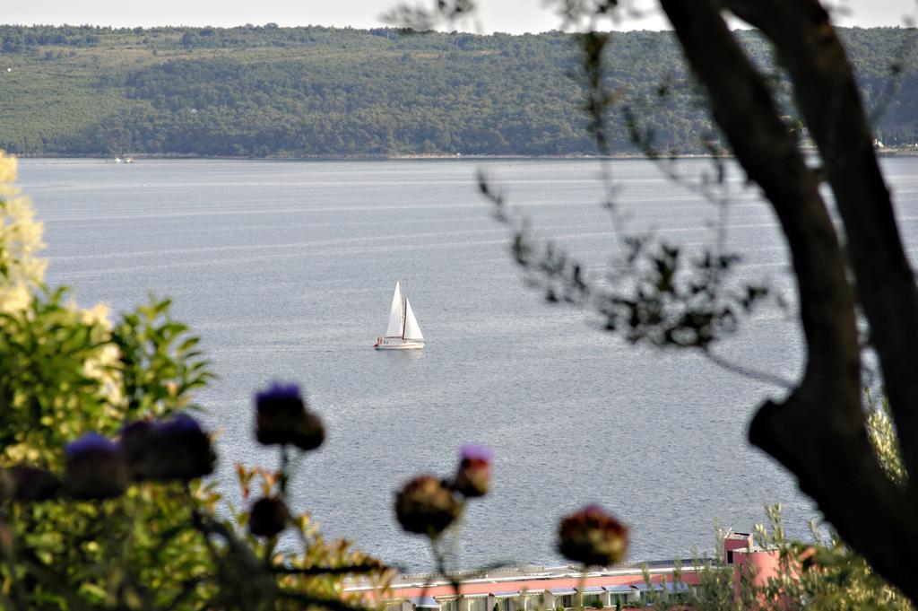 Apartment Rubin Piran Eksteriør bilde
